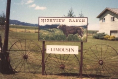 Highview-Ranch-Limosin