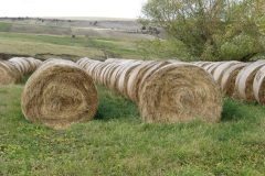 Highview-Round-Bales